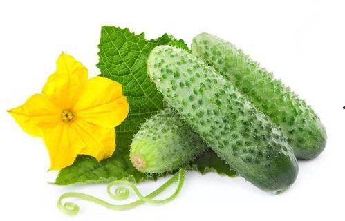 吃瓜系统完结全集,揭秘娱乐圈背后的秘密与真相