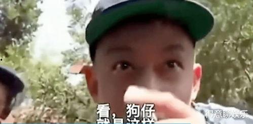 吃瓜狂扇,揭秘娱乐圈幕后风云