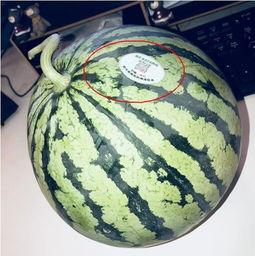 网红家暴吃瓜,吃瓜群众热议，真相究竟如何？