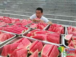 广州学校吃瓜,揭秘校园吃瓜盛况