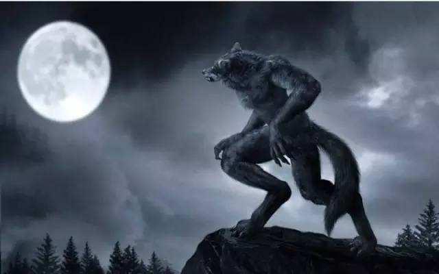 狼人神秘吃瓜视频,探寻神秘事件的背后真相