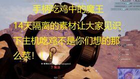 吃鸡舞呆瓜版,趣味横生的舞蹈挑战，带你领略不一样的“吃鸡”风采