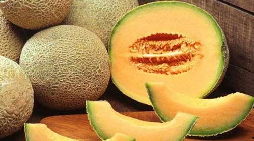 哈密瓜吃不吃种