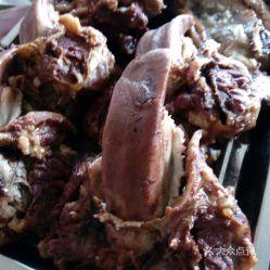 猪吃田瓜图片,田园生活画卷展