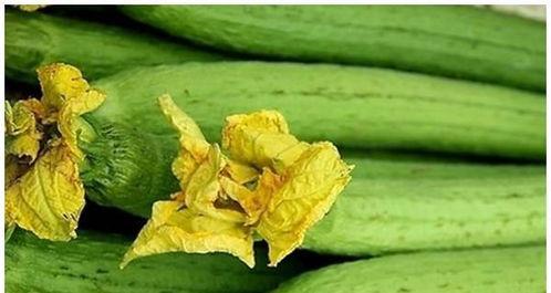 妇产科日常吃瓜